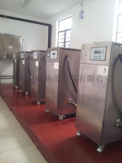 上海中睿厂家直销LDR小型电加热蒸汽发生器