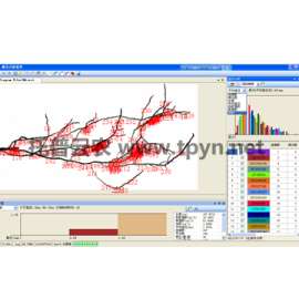 根系分析系统，根系分析好帮手