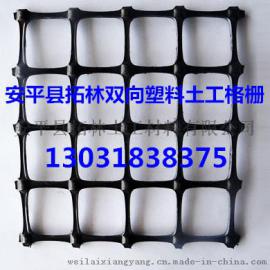 河北厂家专业生产黑色塑料方孔网 双向土工格栅 路基防护土工格栅