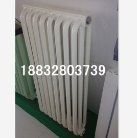 蒸汽用GH3-600-1.0钢制弧管柱形暖气片