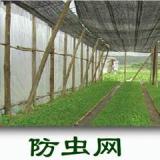 蔬菜防虫网