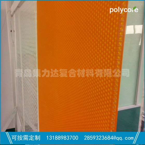 塑料蜂窝隔声板（DPC3.0-Y-PC6.0-20）