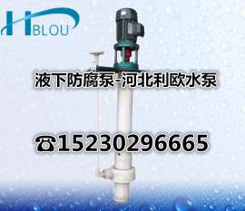利欧25FY-41立式液下塑料防腐泵脱硫循环泵渣浆泵泥浆泵耐酸碱泵