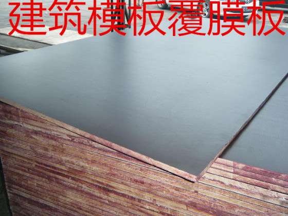 东南亚专用建筑模板/覆膜板/建筑模板/防滑覆膜板/18mm