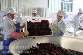 冀州漳州圣女果干代工喜阳阳果干批发性价比最高