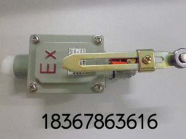 BZX8077-20防爆行程开关 防爆限位开关  品牌可靠