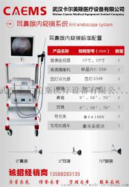 卡尔美斯耳鼻喉内窥镜图像显示仪