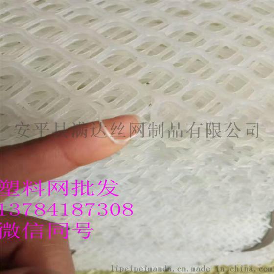 白色塑料漏粪网 养殖网厂家供应 可用做脚垫网