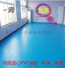 舞蹈室PVC地板  幼儿园专用地垫  健身房舞蹈地胶