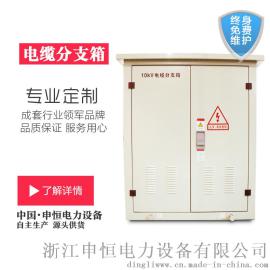 中国申恒 DWF-12高压电缆分支箱 分线箱 二进二出