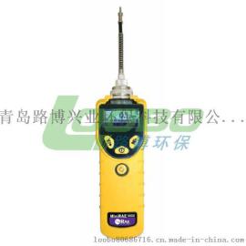 PGM-7320 MiniRAE 3000 VOC检测仪