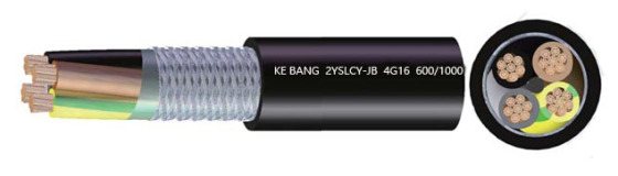 2YSLCY 0.6/1kV电缆，WDZ-REE电缆，2YSLCY 0.6/1kV电缆厂家供应