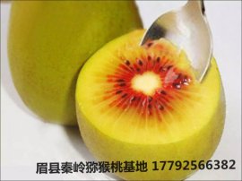2017陕西眉县红心红阳猕猴桃价格/60-70g/中国猕猴桃之乡果园低价直销