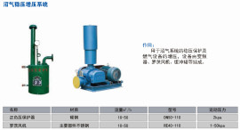 正负压保护器-山东中正承接-沼气稳压增压系统