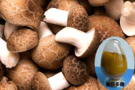 GMP标准厂家直销香菇提取物 香菇多糖
