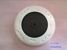 新款高保真DSP A11-ADUIO拾音器