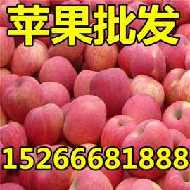 红富士苹果价格苹果批发价格行情今日苹果多少钱一斤