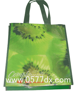 无纺布复合袋（DX-4013）