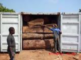 莫桑比克红高棉木进口报关流程|高棉木进口黄埔港清关全包价