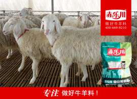 北京肉羊饲料品牌    Y640