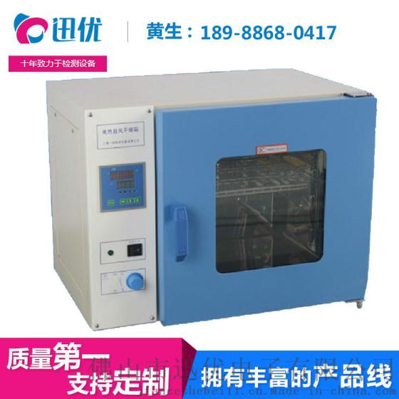 广东迅优 高温老化箱真空干燥箱 鼓风干燥箱 电热恒温干燥箱