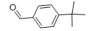 对叔丁基苯甲醛