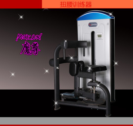 山东健身厂家专业生产室内健身器 新款魔尊力量最新推出【魔尊】HY-6814扭腰训练器