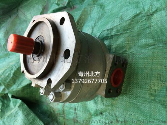 青州北方生产销售液压泵型号G30-8D32C-12AR