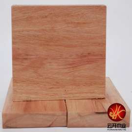 银口木，价格/原木板材/哪家的好，上海厂家直销供应