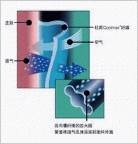 面料点点观 - 功能性纤维 